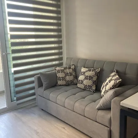 Nice And Cozy Apartment